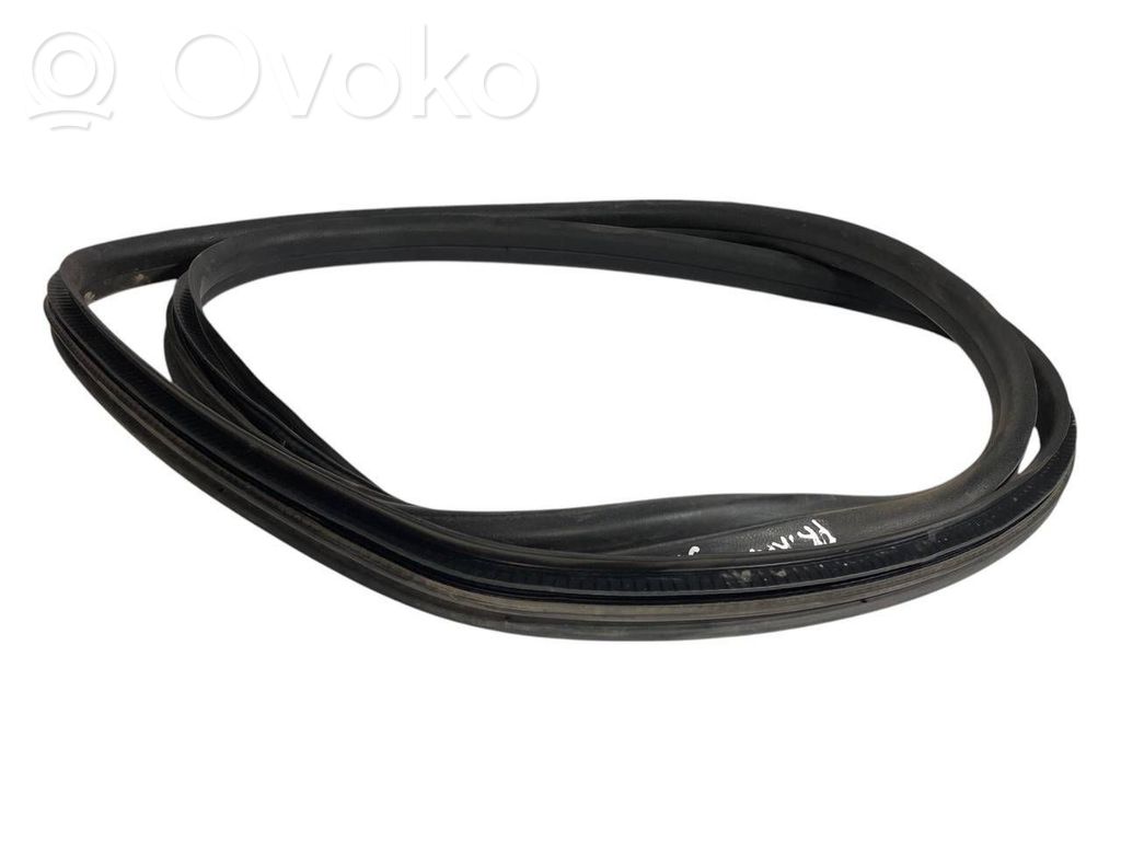 Front trim rubber (in the body)