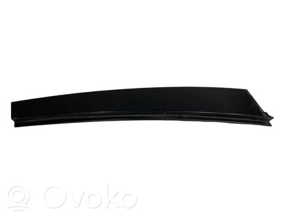 Rear door glass trim