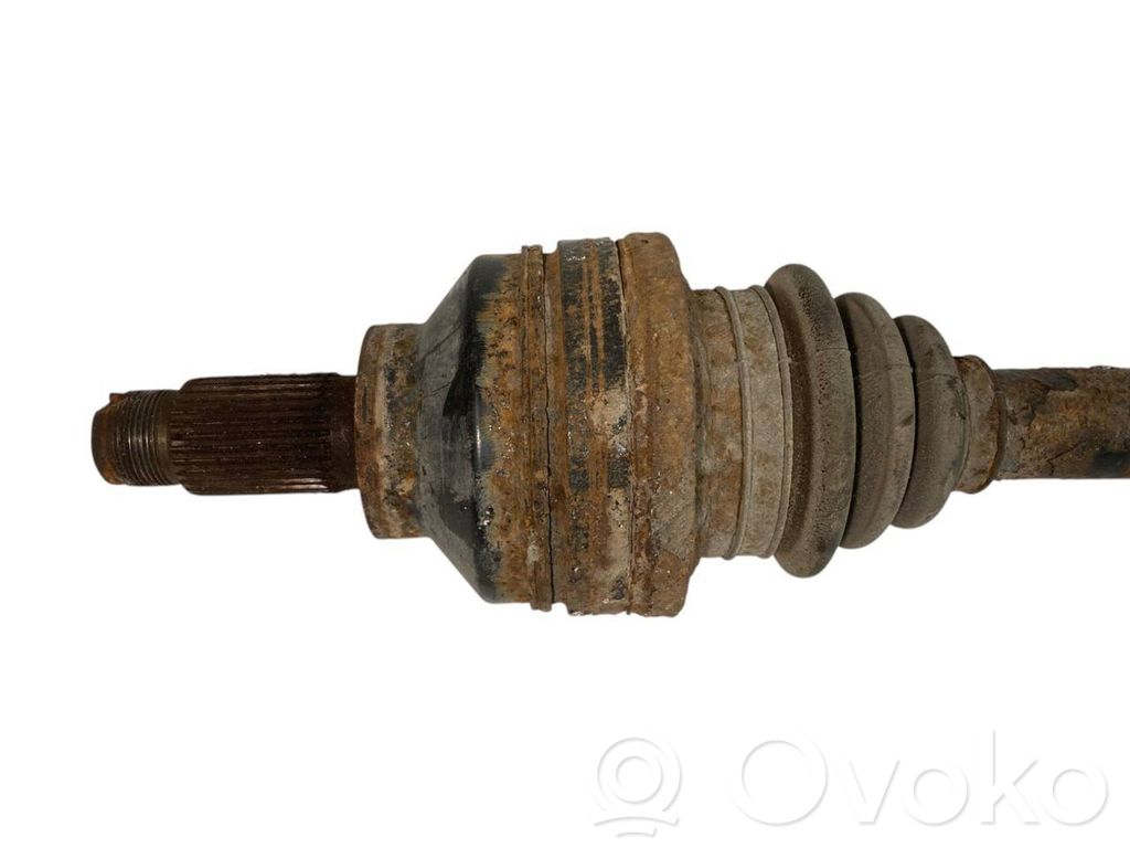 Aizmugurējā pusass