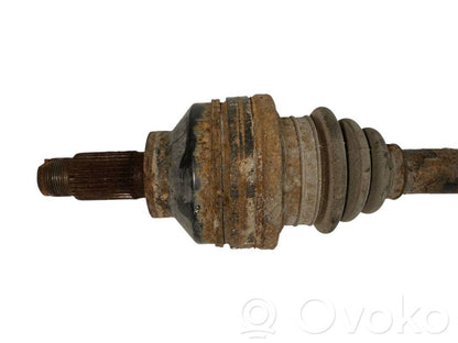 Aizmugurējā pusass