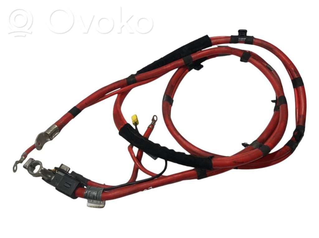 Plusa vads (akumulatora)