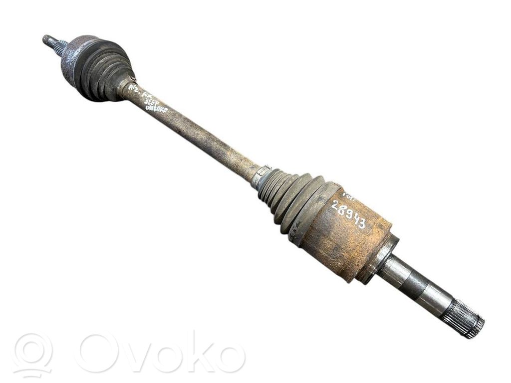 Aizmugurējā pusass