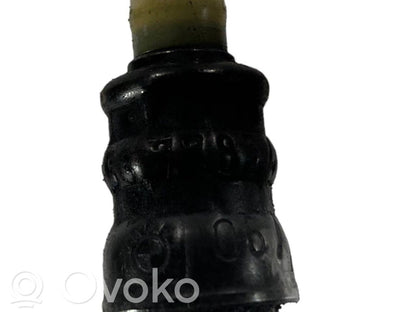 Degvielas caurulīte (-es)