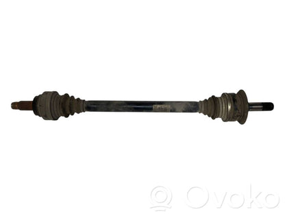 Aizmugurējā pusass