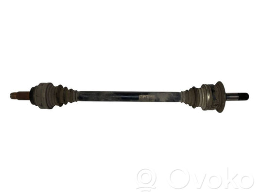 Aizmugurējā pusass