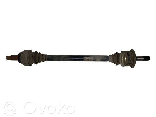 Aizmugurējā pusass