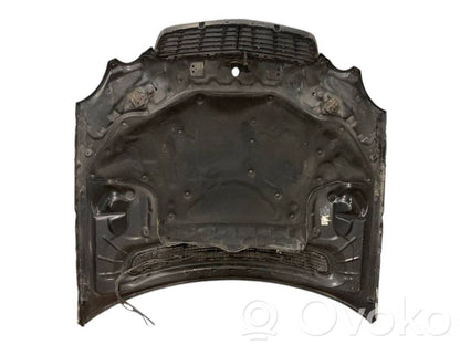 Dzinēja pārsegs (vāks)