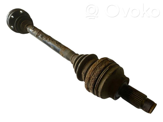 Aizmugurējā pusass