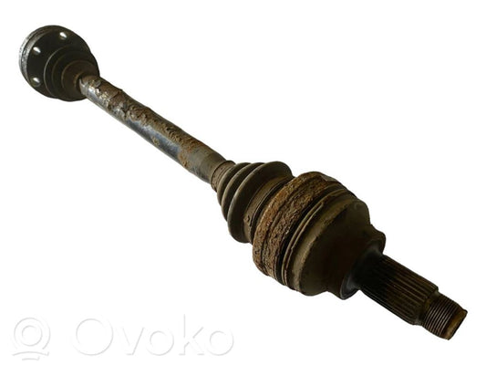 Aizmugurējā pusass