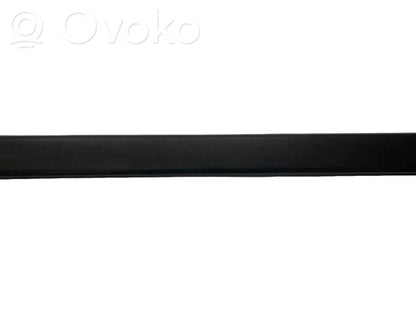 Priekšpusē durvju dekoratīvā apdare (moldings)