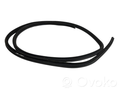 Front trim rubber (in the body)