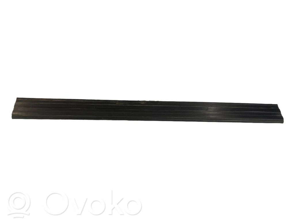 Front sill trim (external)