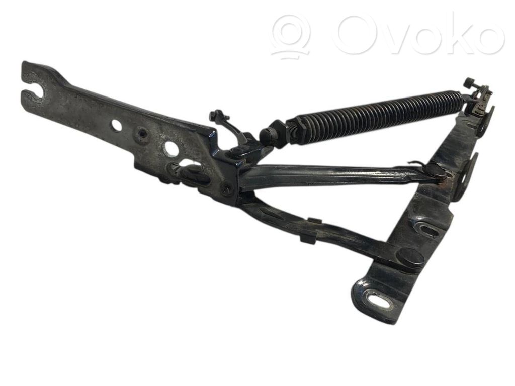 Aizmugurējā pārsega eņģe (-ess)