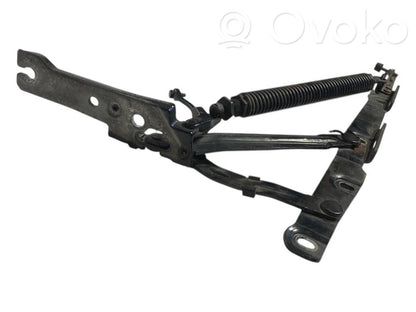 Aizmugurējā pārsega eņģe (-ess)