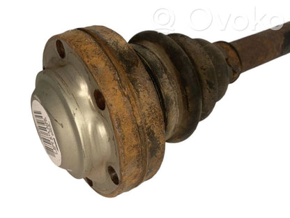 Aizmugurējā pusass