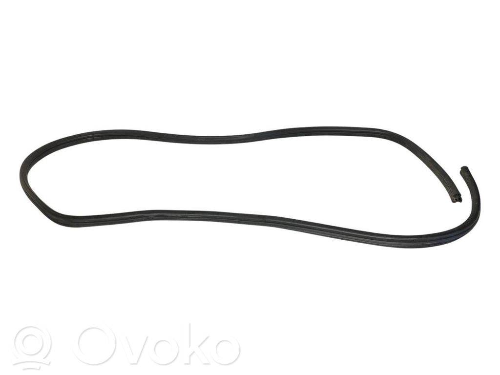 Front trim rubber (in the body)