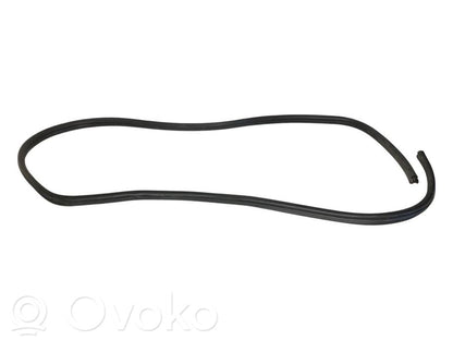 Front trim rubber (in the body)