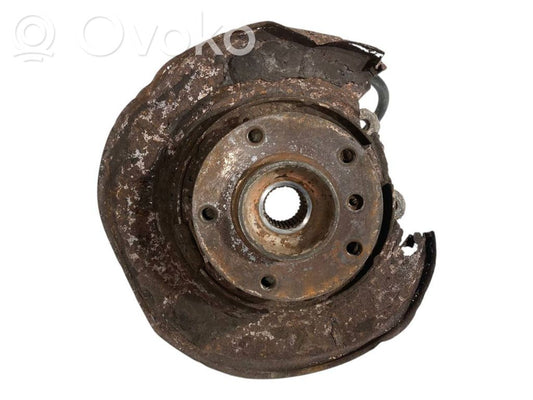Rear wheel hub shaft joint (stupica, capfa)
