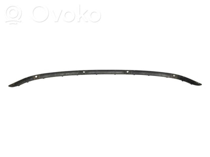 Decorative rear bumper strips