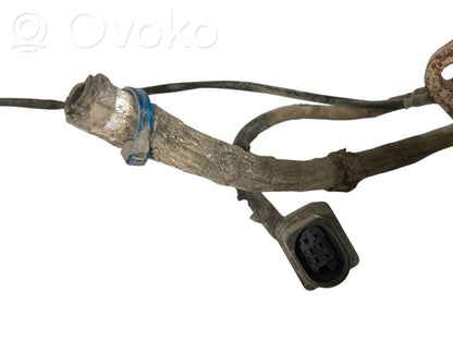 Katalizators, FAP/DPF cieto daļiņu filtrs