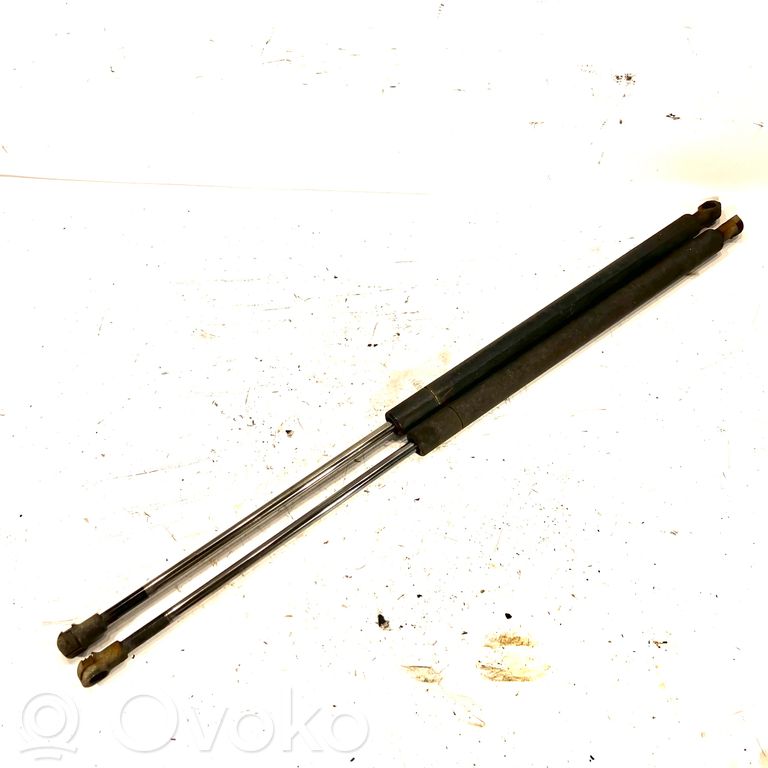 Engine hood damper