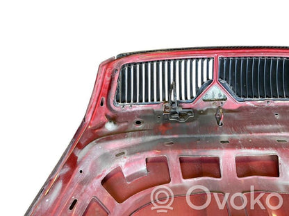 Dzinēja pārsegs (vāks)