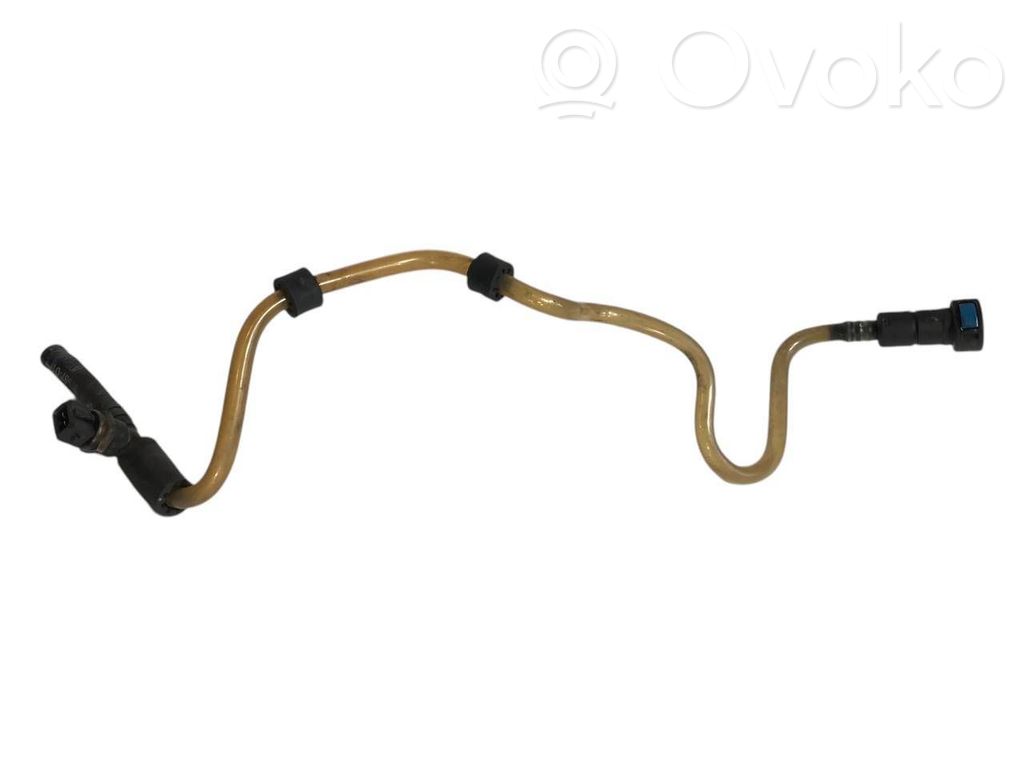 Caurule (-es) / šļūtene (-es)