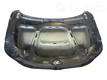 Dzinēja pārsegs (vāks)