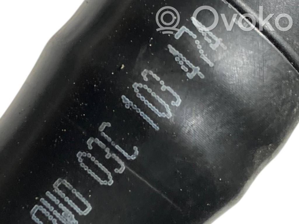 Caurulīte (-es) / šļūtene (-es)