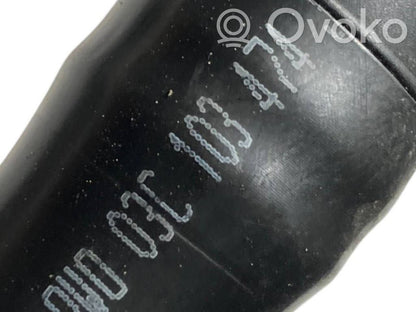 Caurulīte (-es) / šļūtene (-es)