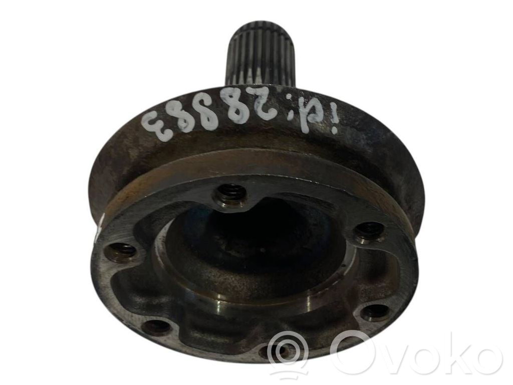 Aizmugurējā pusass