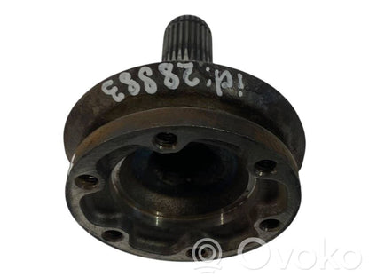 Aizmugurējā pusass