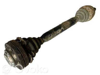 Aizmugurējā pusass