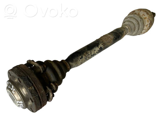 Aizmugurējā pusass