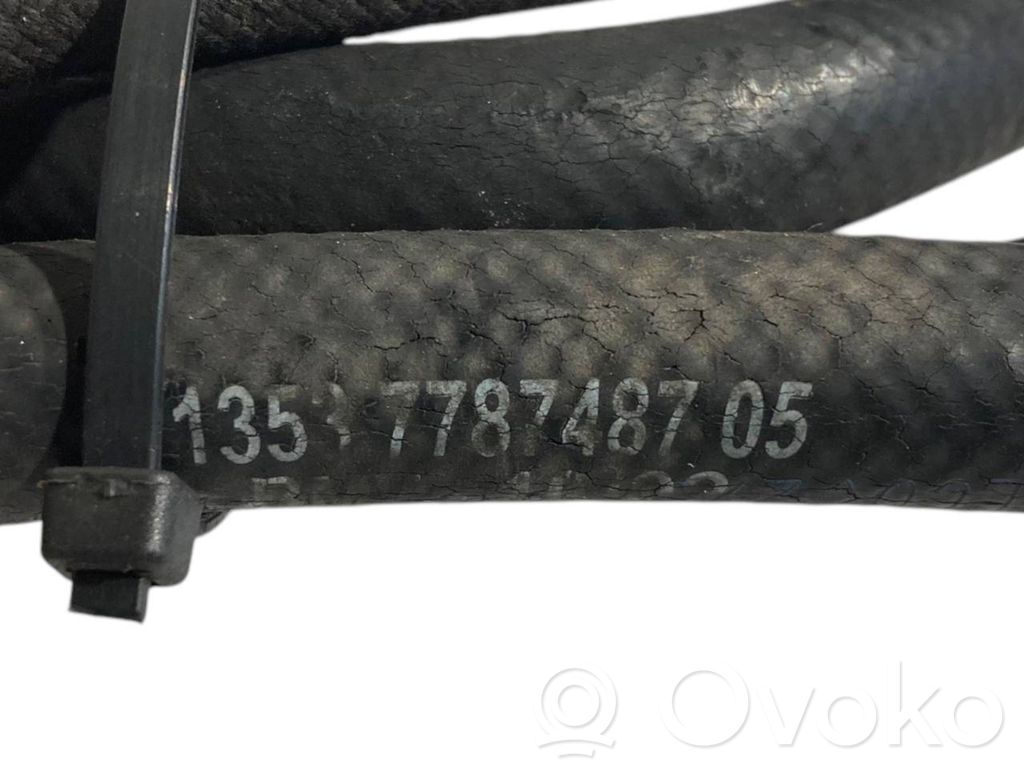 Caurule (-es) / šļūtene (-es)