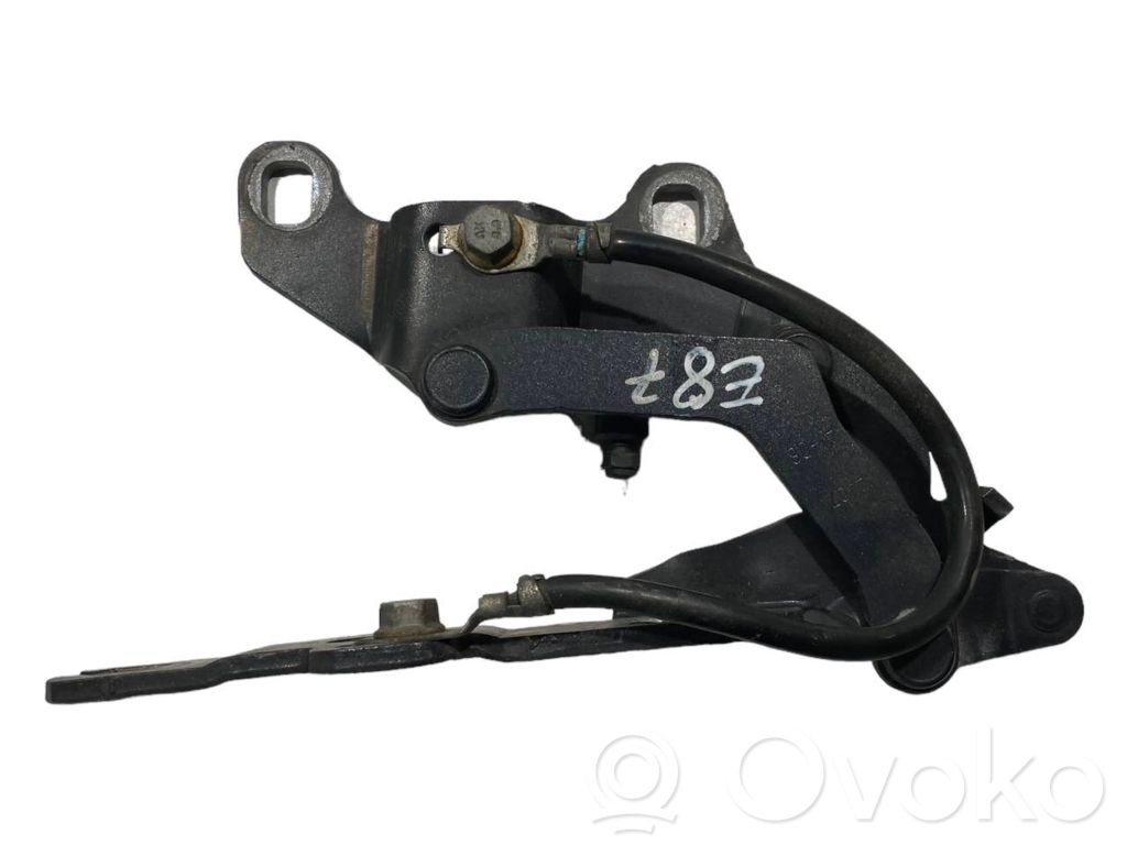 Dzinēja pārsega eņģe (-es)