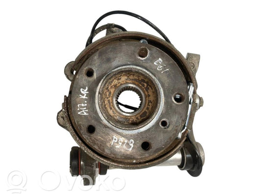 Rear wheel hub shaft joint (stupica, capfa)