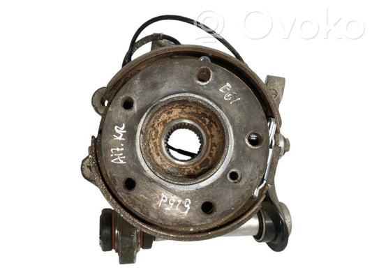 Aizmugurē riteņa rumbas vārpstas šarnīrs (stupica, capfa)