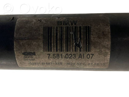 Aizmugurējā pusass