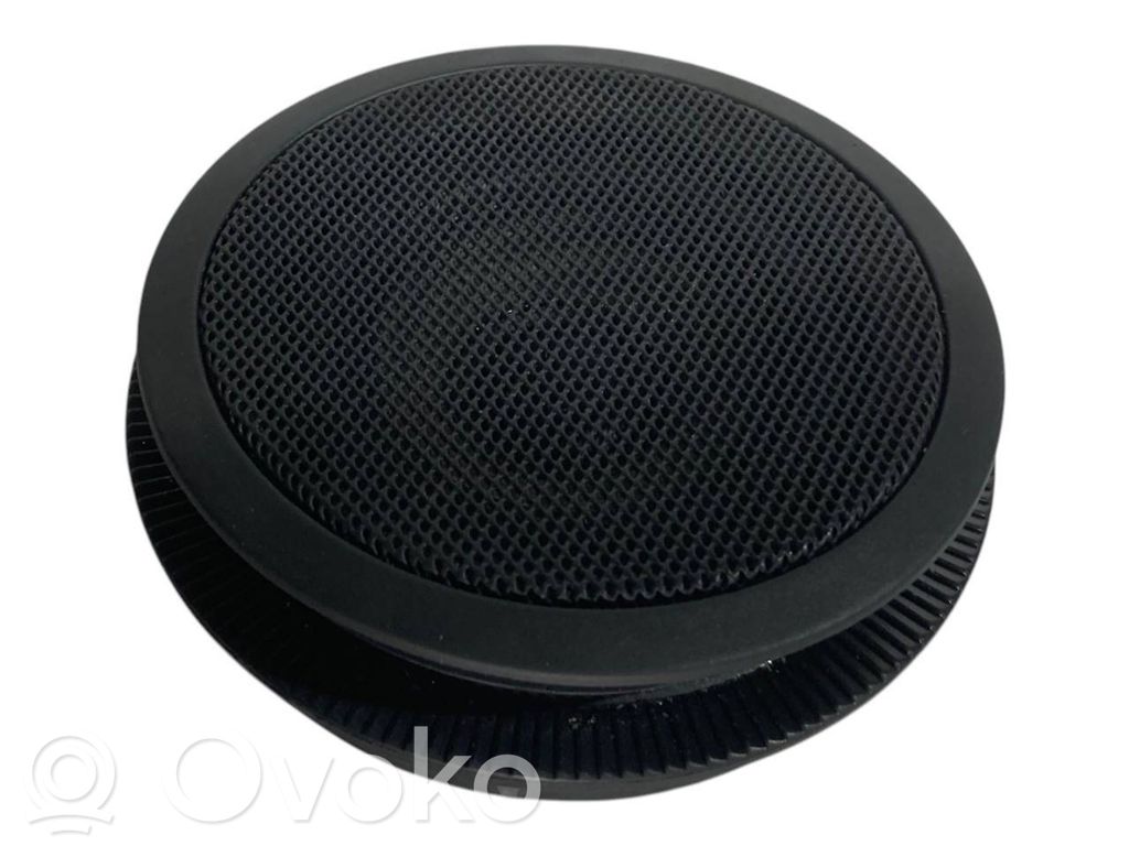 Speaker(s) in front door