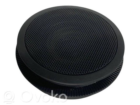 Speaker(s) in front door