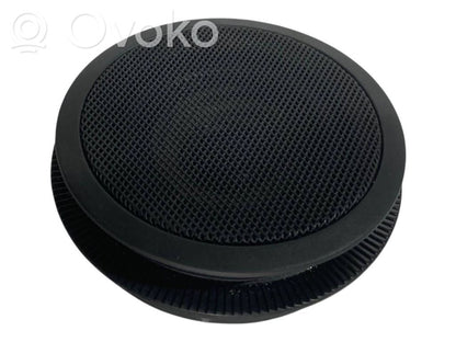 Speaker(s) in front door