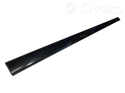 Front door decorative trim (molding)