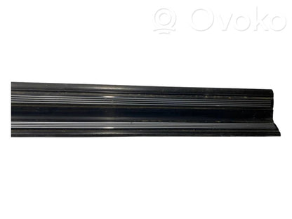 Front sill trim (inner)