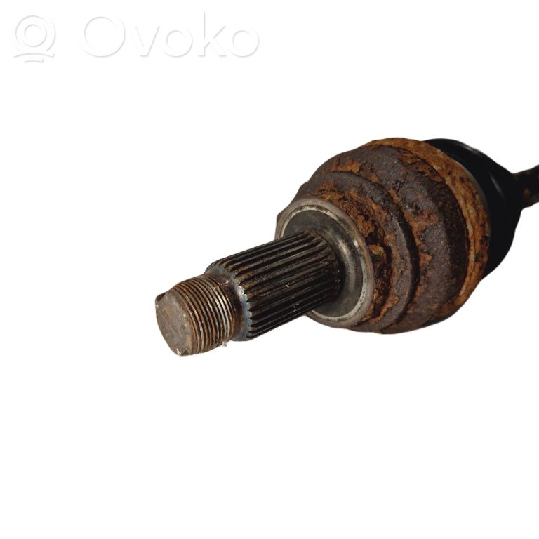 Aizmugurējā pusass