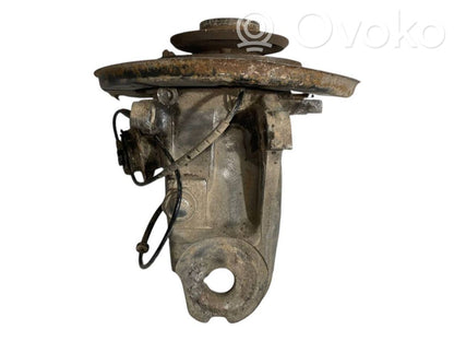 Rear wheel hub shaft joint (stupica, capfa)