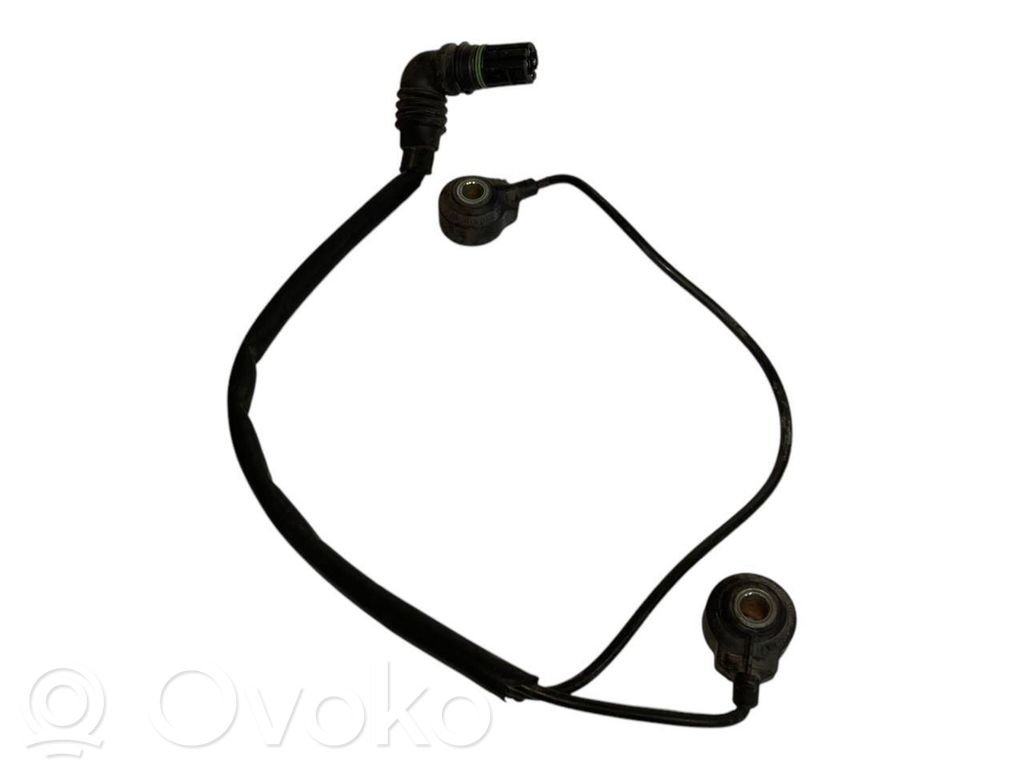 Knock sensor
