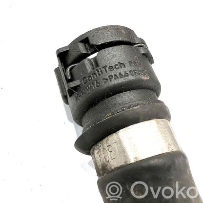 Caurulīte (-es) / šļūtene (-es)