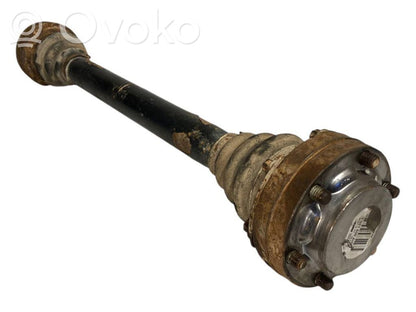 Aizmugurējā pusass