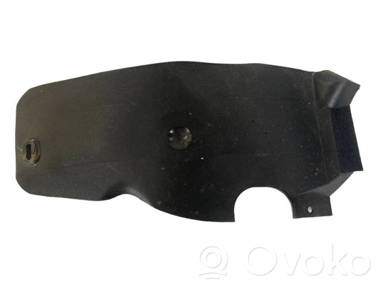 Aizmugurējais apakšspārns